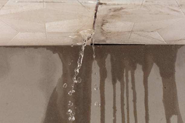 Professional Water Damage Repair technician working in Minerva, OH